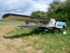 G-ARYZ Airedale