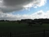 windygloom