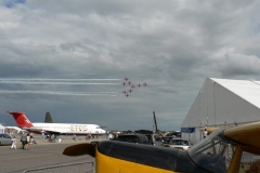 Waddington 2009